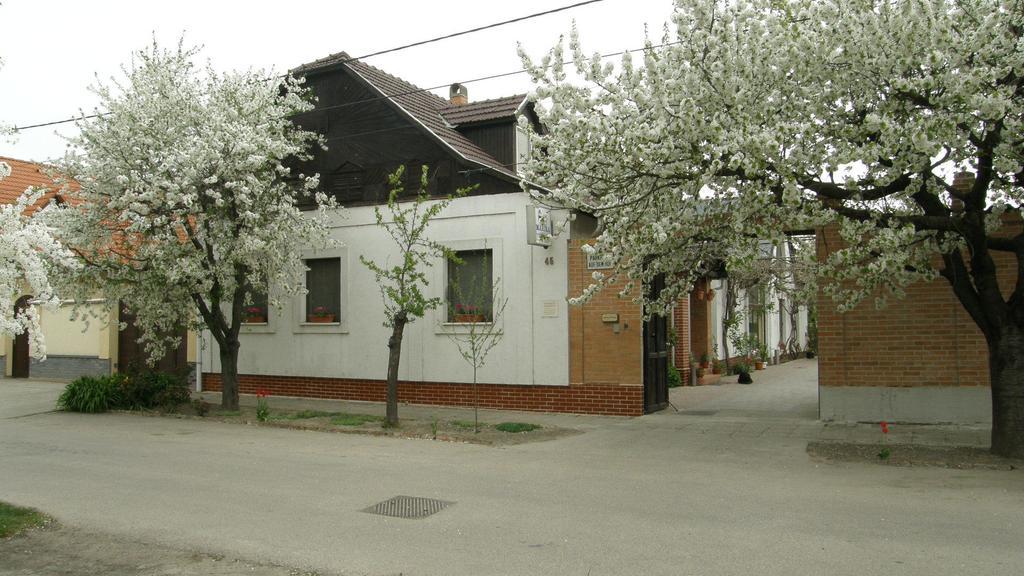 Marika Vendeghaz Hotel Seghedin Exterior foto